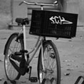 fine art photo max garcia